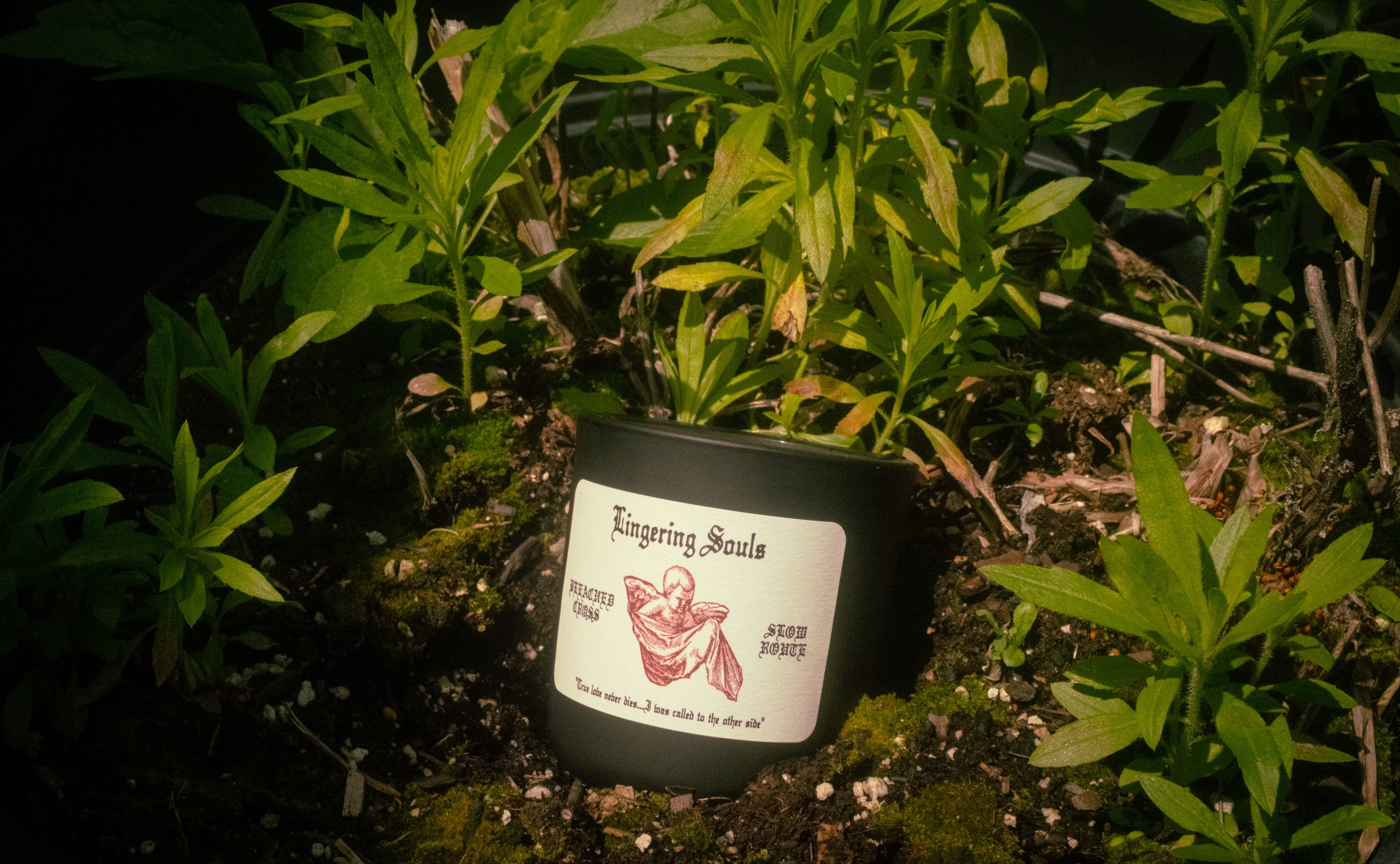 Lingering Souls 8.5 oz Glass Vessel